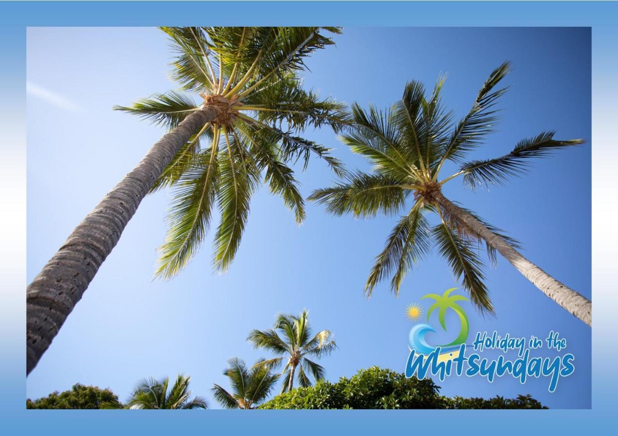 Ferienwohnung Baybliss Escape #1 - Adults Only Shute Harbour Exterior foto